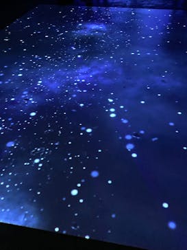 ゴッホ・アライブに投稿された画像（2024/2/28）