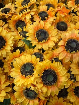 ゴッホ・アライブに投稿された画像（2024/2/28）