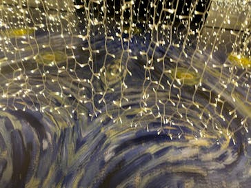 ゴッホ・アライブに投稿された画像（2024/2/28）