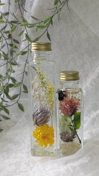 ずこうしつ〜sugamo〜に投稿された画像（2024/2/28）