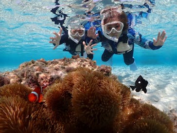 nico 宮古島に投稿された画像（2024/2/28）