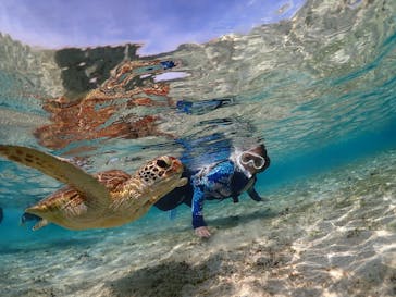 nico 宮古島に投稿された画像（2024/2/28）