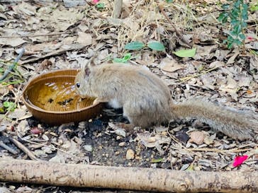 神戸どうぶつ王国に投稿された画像（2024/2/28）