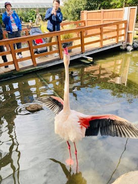 神戸どうぶつ王国に投稿された画像（2024/2/28）