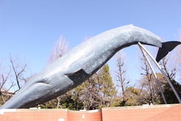 国立科学博物館に投稿された画像（2024/2/28）