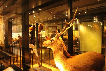 国立科学博物館に投稿された画像（2024/2/28）