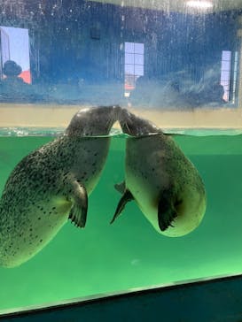 下田海中水族館に投稿された画像（2024/2/28）