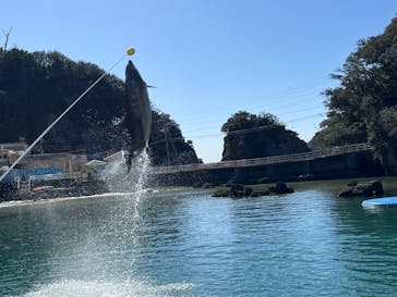 下田海中水族館に投稿された画像（2024/2/28）