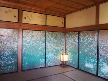 偕楽園本園に投稿された画像（2024/2/28）