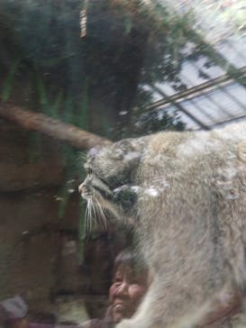 神戸どうぶつ王国に投稿された画像（2024/2/28）