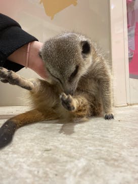 アニタッチアクアシティお台場に投稿された画像（2024/2/28）