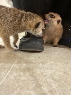 アニタッチアクアシティお台場に投稿された画像（2024/2/28）