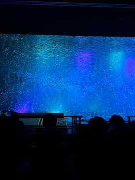 南知多ビーチランド＆南知多おもちゃ王国に投稿された画像（2024/2/28）