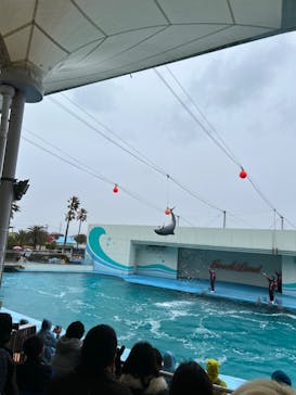 南知多ビーチランド＆南知多おもちゃ王国に投稿された画像（2024/2/28）