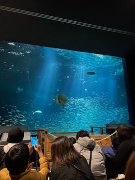 南知多ビーチランド＆南知多おもちゃ王国に投稿された画像（2024/2/28）