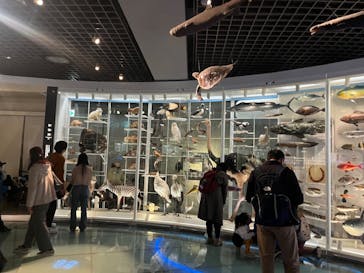 国立科学博物館に投稿された画像（2024/2/28）