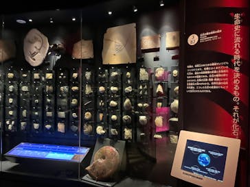 国立科学博物館に投稿された画像（2024/2/28）