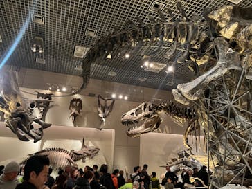 国立科学博物館に投稿された画像（2024/2/28）