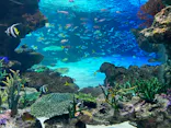 サンシャイン水族館に投稿された画像（2024/2/29）