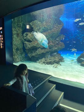 サンシャイン水族館に投稿された画像（2024/2/28）