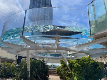 サンシャイン水族館に投稿された画像（2024/2/28）