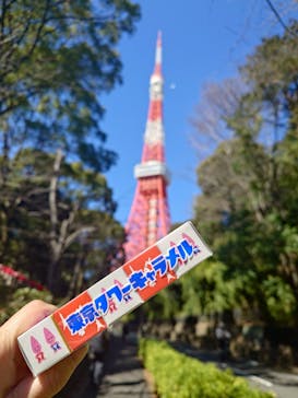 東京タワーに投稿された画像（2024/2/29）