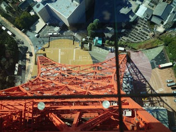 東京タワーに投稿された画像（2024/2/29）