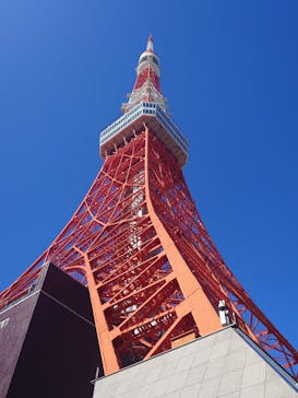 東京タワーに投稿された画像（2024/2/29）