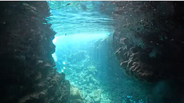 武藤潜水に投稿された画像（2024/2/29）