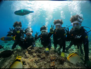 武藤潜水に投稿された画像（2024/2/29）