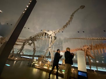 福井県立恐竜博物館に投稿された画像（2024/2/29）