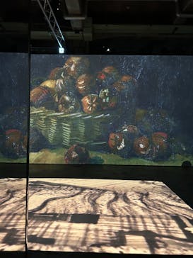 ゴッホ・アライブに投稿された画像（2024/2/29）