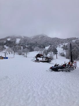 YAMABOKUワイルドスノーパークに投稿された画像（2024/2/29）