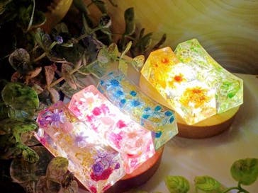 ずこうしつ〜sugamo〜に投稿された画像（2024/2/29）