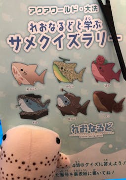 アクアワールド茨城県大洗水族館に投稿された画像（2024/2/29）