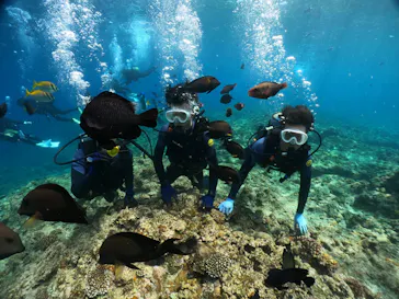 武藤潜水に投稿された画像（2024/2/29）