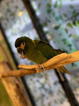 Moff animal world BIGHOPガーデンモール印西店に投稿された画像（2024/2/29）