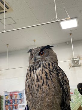 Moff animal world BIGHOPガーデンモール印西店に投稿された画像（2024/2/29）