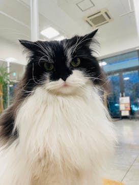 Moff animal world BIGHOPガーデンモール印西店に投稿された画像（2024/2/29）