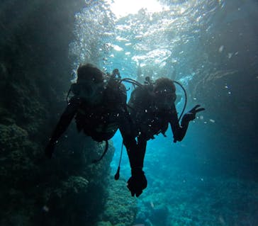 沖縄マリンサービス碧に投稿された画像（2024/2/29）