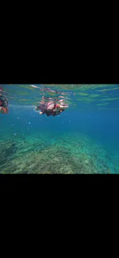 武藤潜水に投稿された画像（2024/2/29）