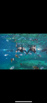 武藤潜水に投稿された画像（2024/2/29）