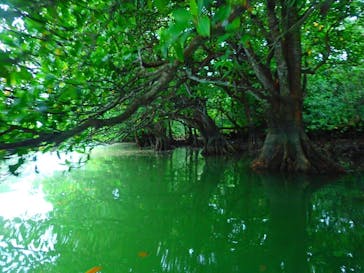 石垣島 ADVENTURE PiPi（イシガキジマアドベンチャーピピ）に投稿された画像（2024/2/29）