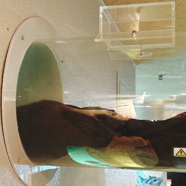 しながわ水族館に投稿された画像（2024/2/29）