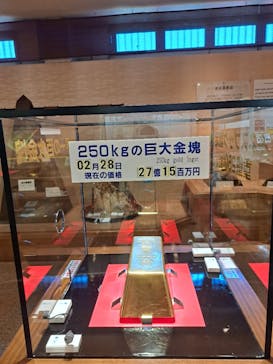 土肥金山に投稿された画像（2024/2/29）