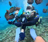 沖縄マリンサービス碧に投稿された画像（2024/2/29）