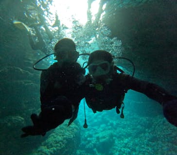 沖縄マリンサービス碧に投稿された画像（2024/2/29）