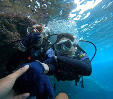 沖縄マリンサービス碧に投稿された画像（2024/2/29）