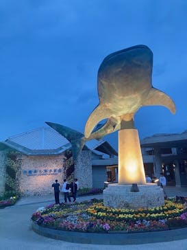 沖縄美ら海水族館に投稿された画像（2024/2/29）
