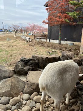 熊谷天然温泉　花湯スパリゾートに投稿された画像（2024/2/29）